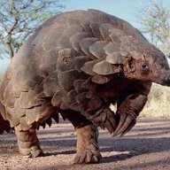 zCreazyx